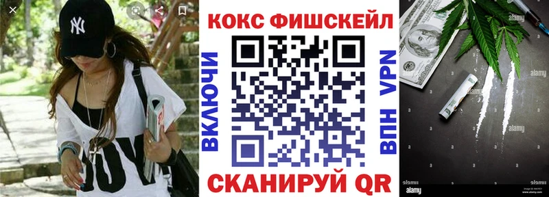 Купить закладки  Порхов  COCAIN Fish Scale 