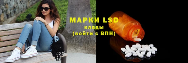 хмурый Елизово