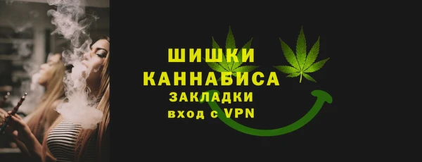 ALPHA PVP Ельня