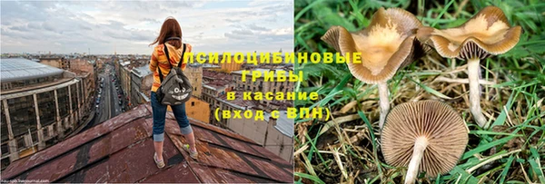 трава Елабуга