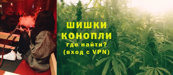 ALPHA PVP Ельня