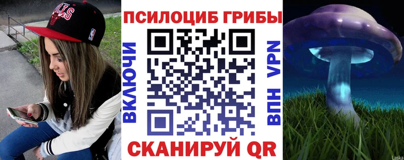 Псилоцибиновые грибы Magic Shrooms  Купить закладки  Порхов 